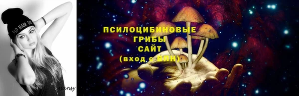 скорость Богородск